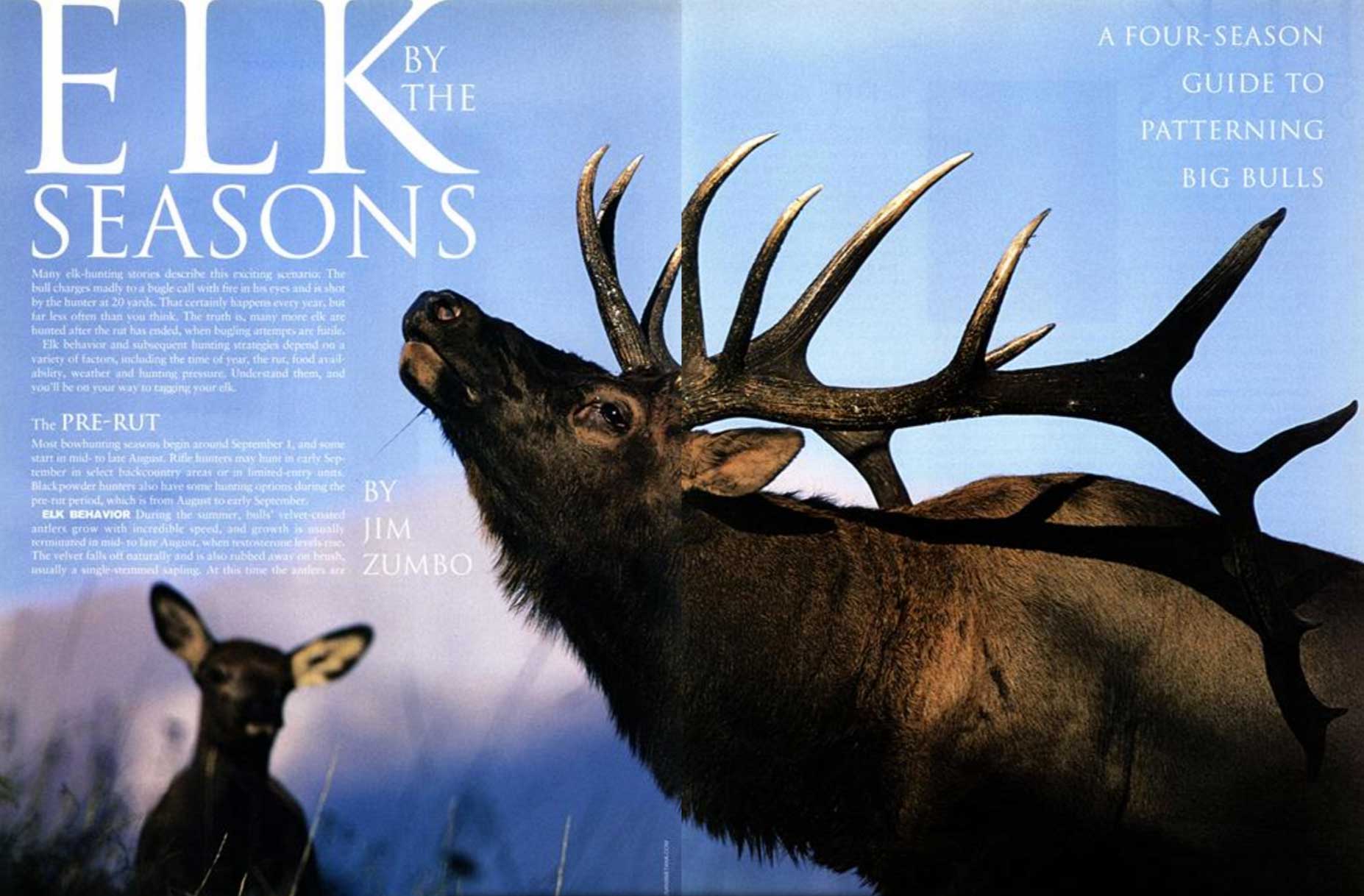 elk by the seasons