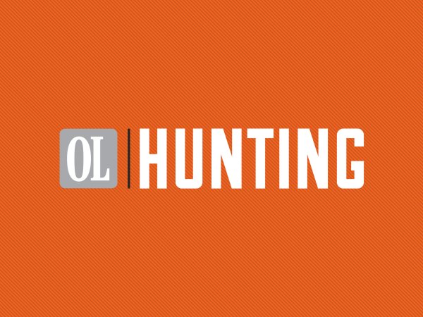 Deer Hunting in New York City?