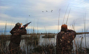 In the Marsh: Take 'em