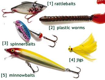 Five Essential Lures