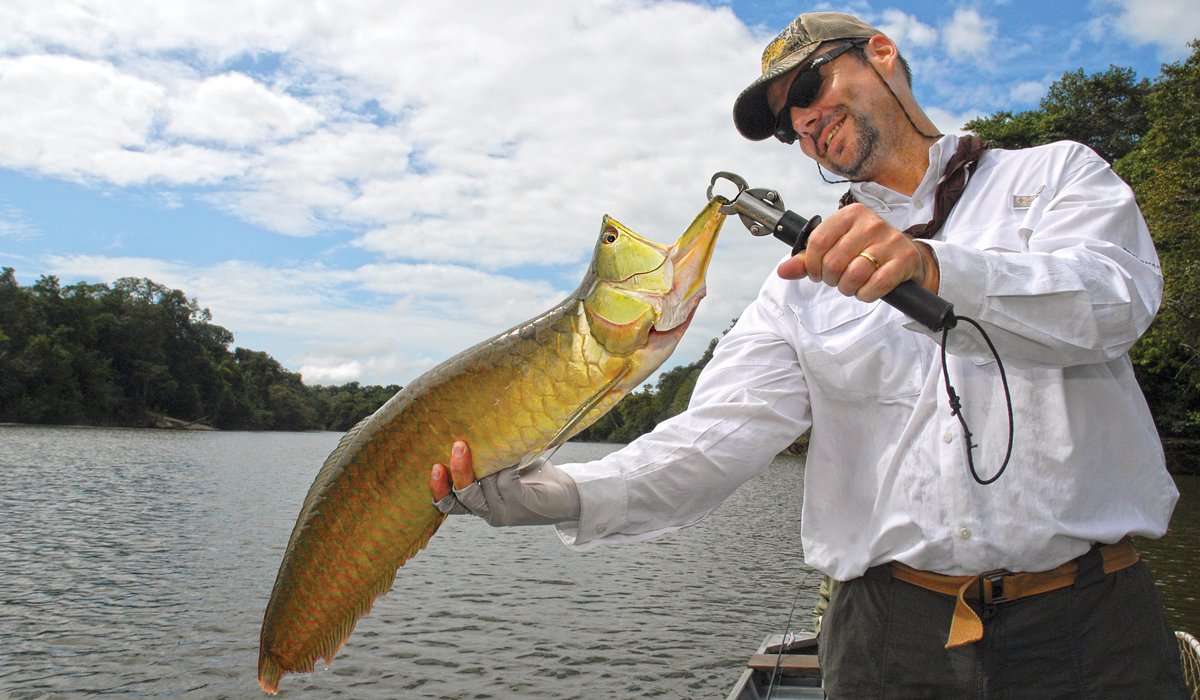 peacock bass, rio negro, amazon dogfish, freshwater barracuda, extreme angling, angling adventure, amazon fishing