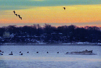 Coming Into the Dekes