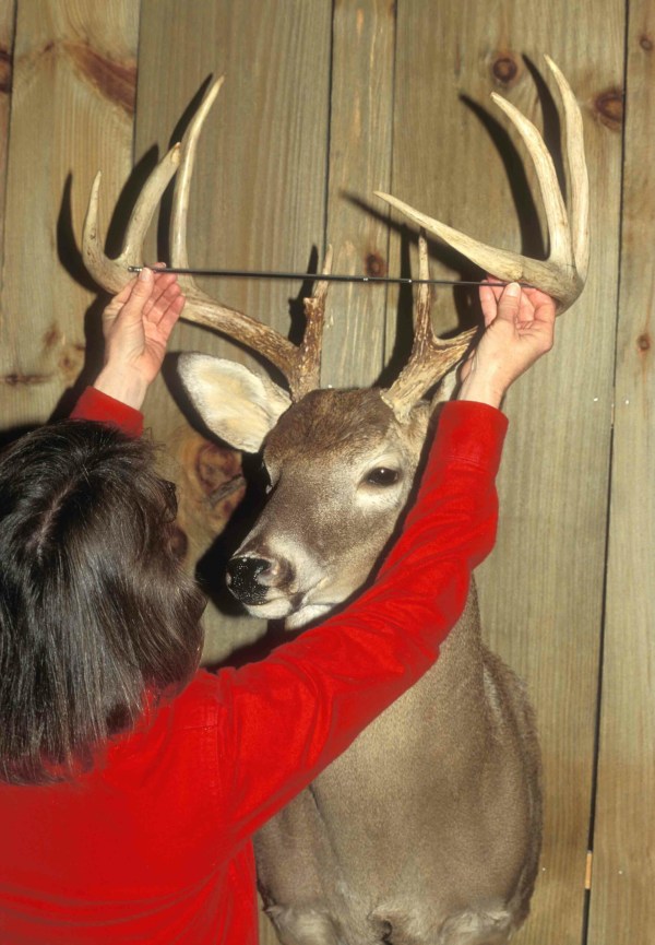 Why You Probably Overestimate a Buck's Score, and How to Fix It