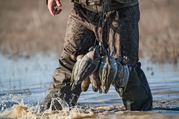 5 Problems with Your Duck Decoy Spread, and How to Fix Them