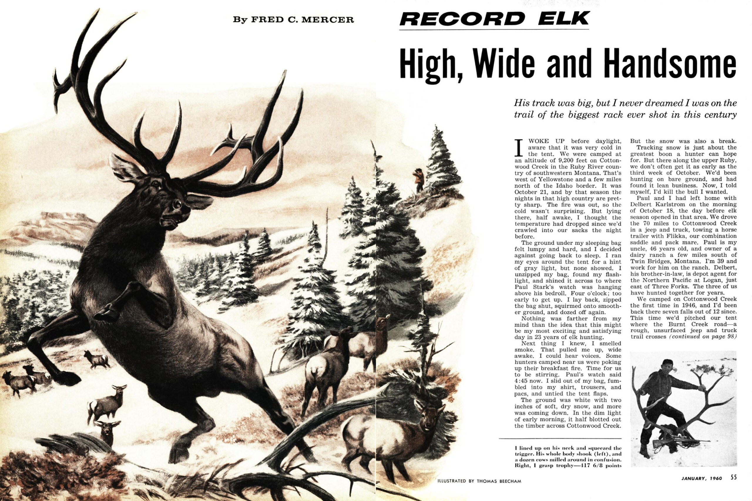 fred mercer record  bull story