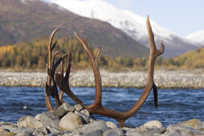 httpswww.outdoorlife.comsitesoutdoorlife.comfilesimport2014importImage2008legacyoutdoorlife125-saramayti_alaska_29.jpg