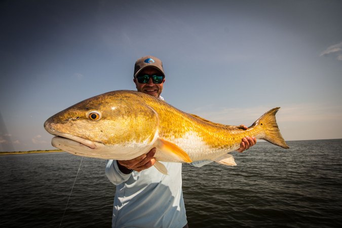 A Redfish Rookie