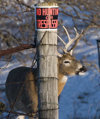 Tell the Senate to Pass the Sportsmen’s Act – NOW!