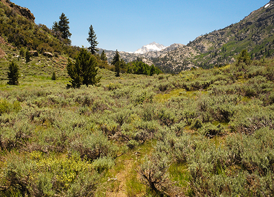 Public Land: Hunting and Fishing in Nevada
