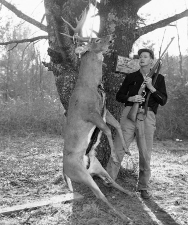 Deer Cartridge Showdown: .223 Rem. vs .30/30