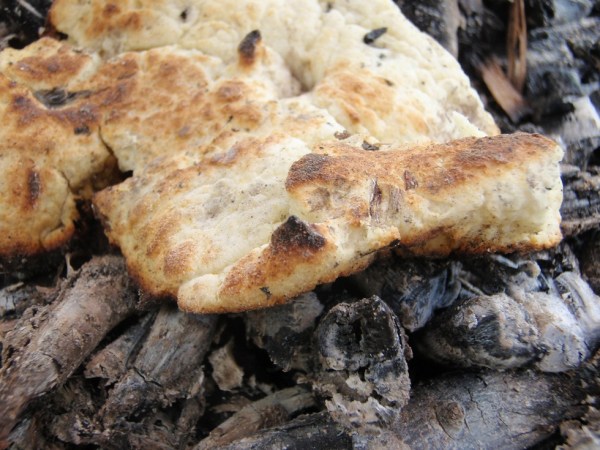Survival Skills: 3 Ways to Make Survival Bread (Without an Oven)