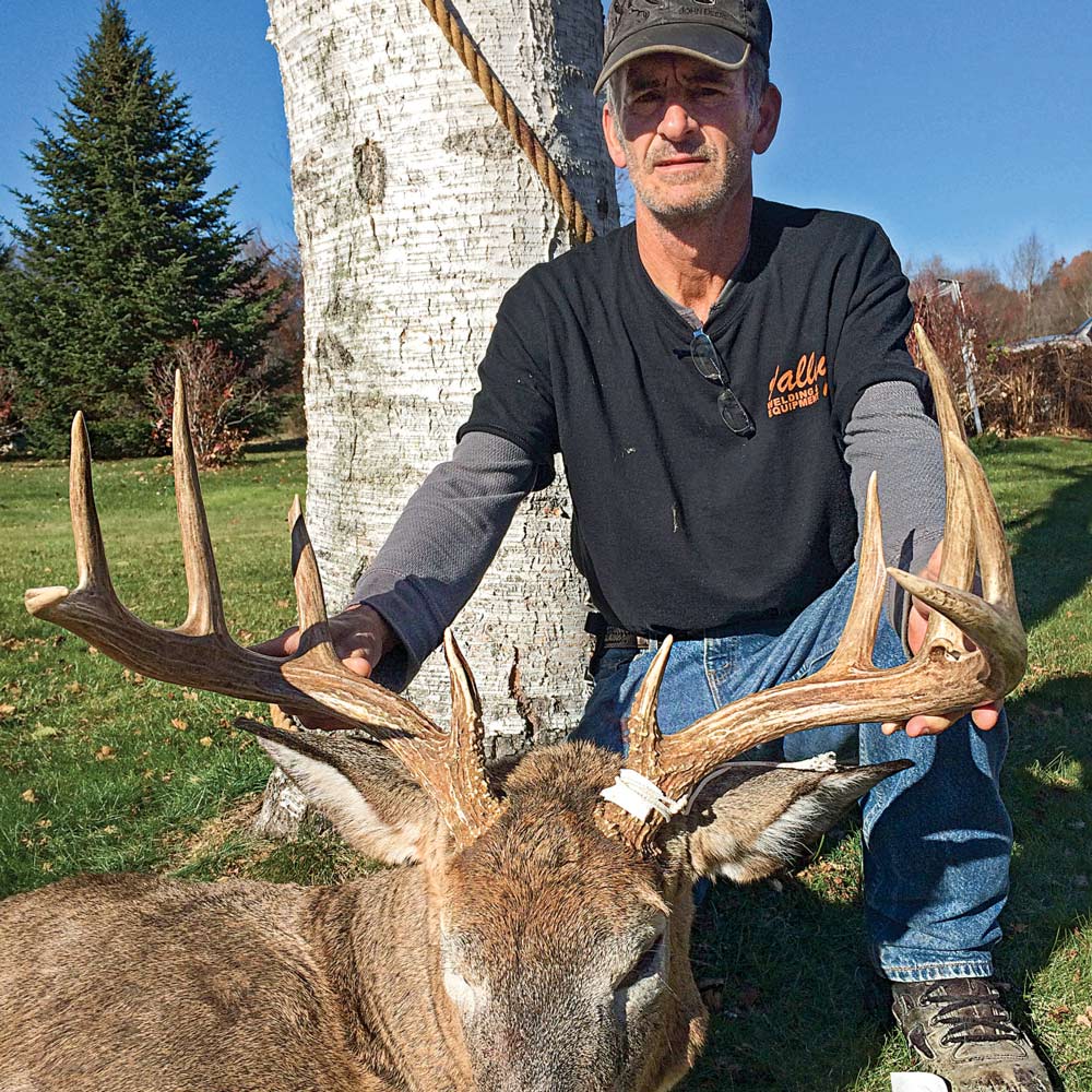 deer of year buck hunting public land