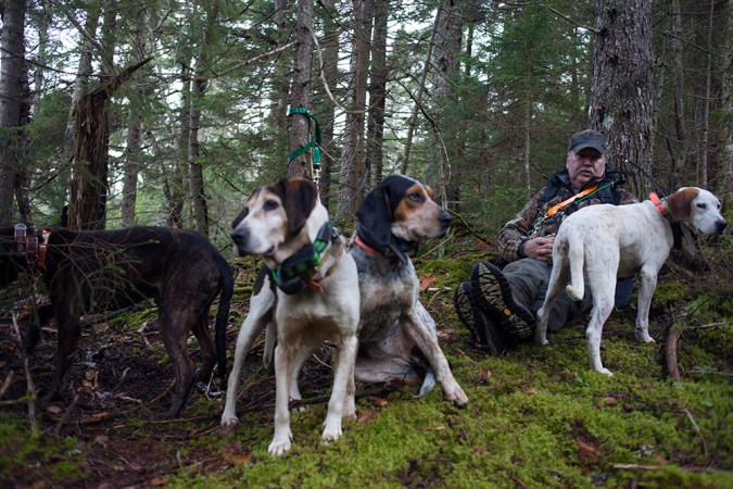 Bear Hunting with Hounds Revisited: Another Referendum on the Horizon