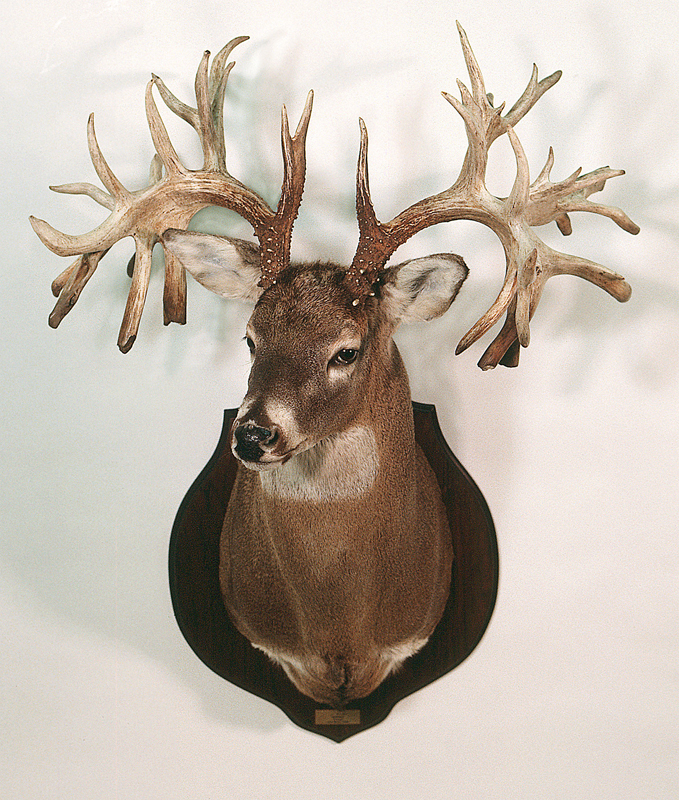 Missouri record buck