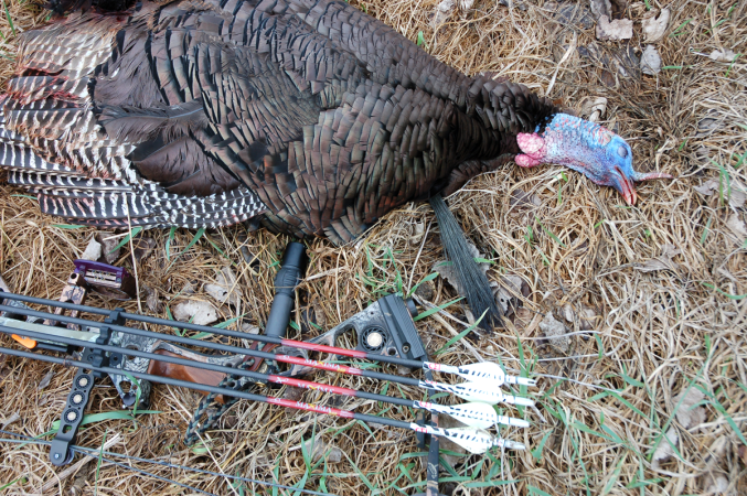 7 Tips to Fine-Tune Your Turkey Bowhunting Gear Arsenal