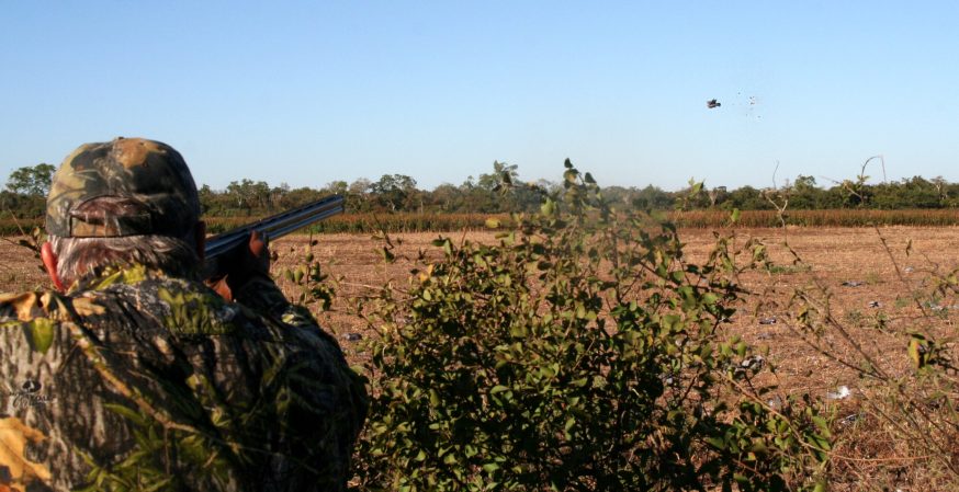 Dove Hunting: Practice Crossing Shots Now for a Better Opening Day