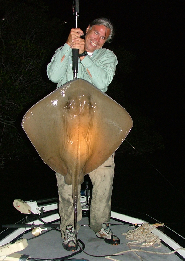 httpswww.outdoorlife.comsitesoutdoorlife.comfilesimport2014importImage2009photo7Stingray.JPG