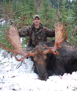 Snow Tracking Moose: How To Kill a Bull After the Rut