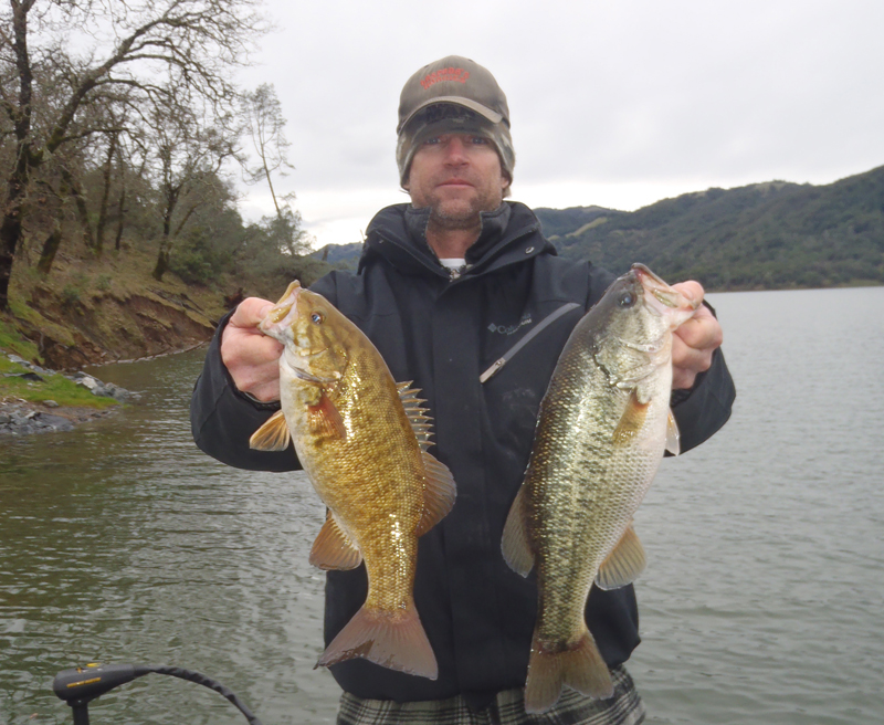 Bass Facts and Myths 19 Things You Didn't Know About Bass