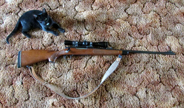 My Favorite Gun: Remington 700 BDL