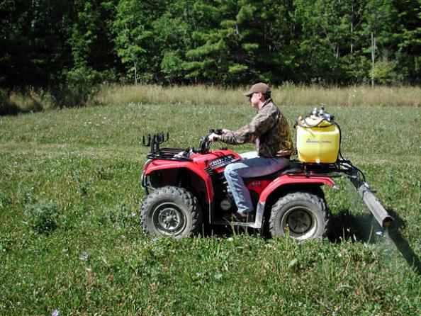 Whitetail Hunting: How to Keep Weeds Out of Your Fall Food Plots