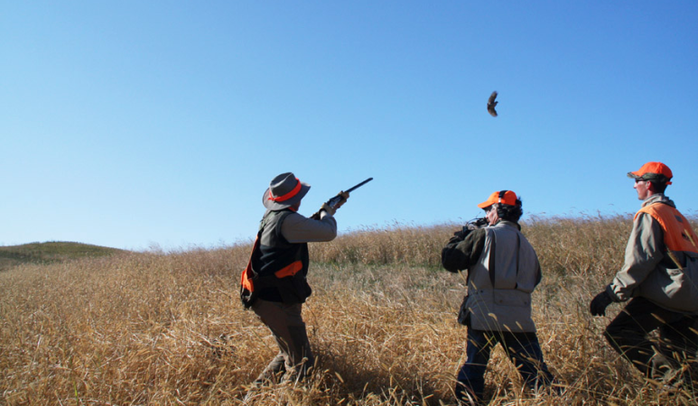 The Upside to an Upland Bird Preserve Hunt