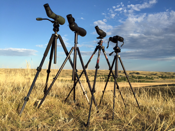 Hunting Gear: How to Buy a Backcountry Tripod