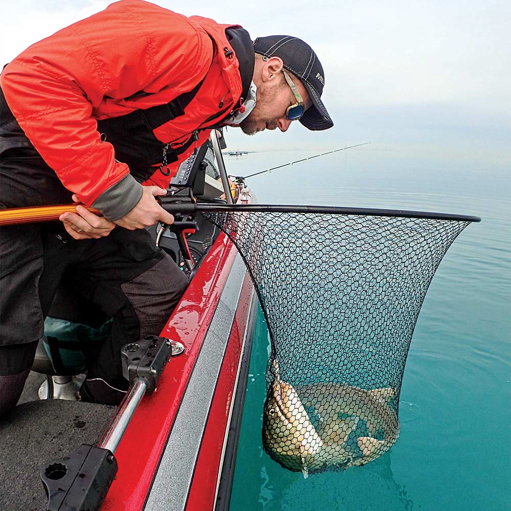 netting giant lake michigan trout