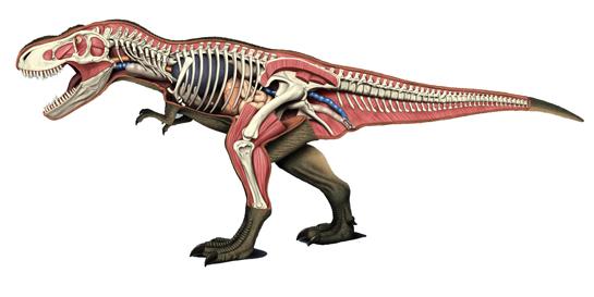 What type of gun would you need to kill a T-rex? - Quora