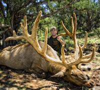440-Inch Bull Taken with Governor's Tag in Arizona
