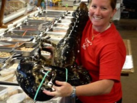 21-Pound Lobster Caught at Nauset Beach, Cape Cod