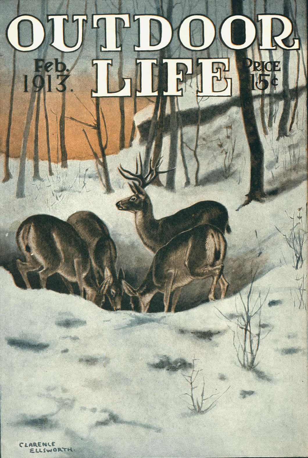 winter does and buck Outdoor Life cover