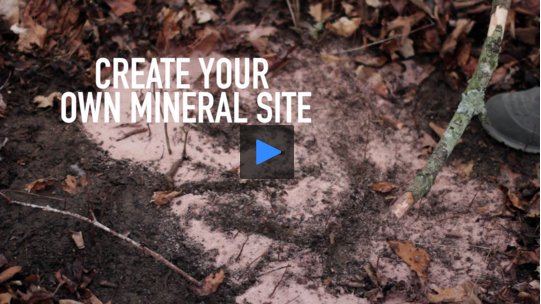 Deer Hunting: Make Your Own Mineral Sites for Better Spring and Summer Trail Camera Photos