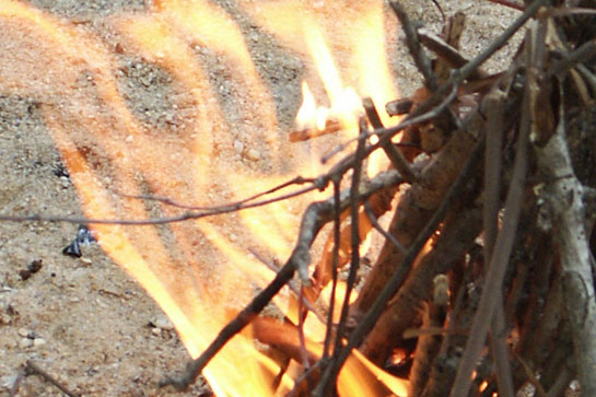 Survival Skills: 10 Steps to Light a One-Match Fire