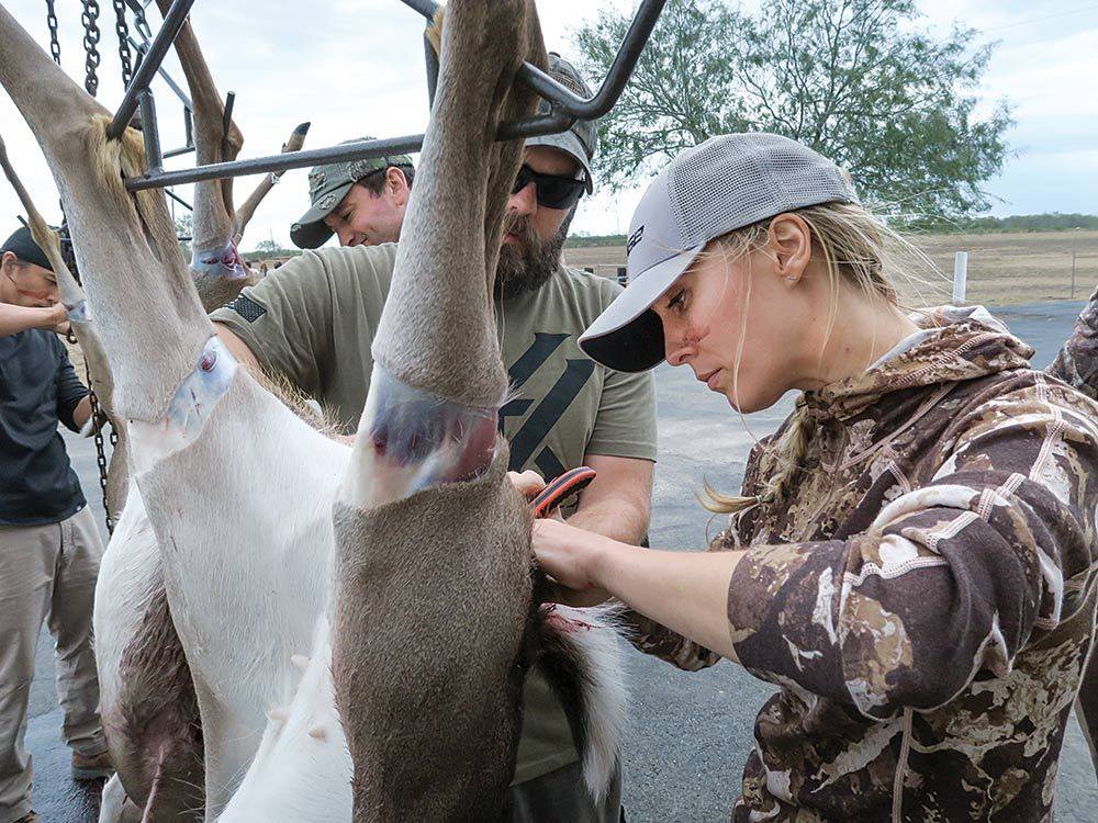 caty enders skinning whitetail deer