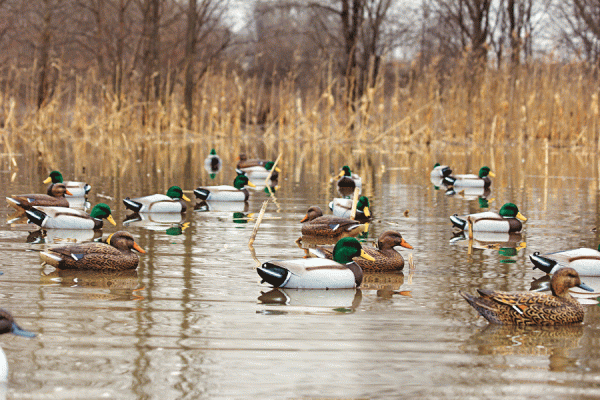Waterfowl: Add Realism to Your Decoy Set