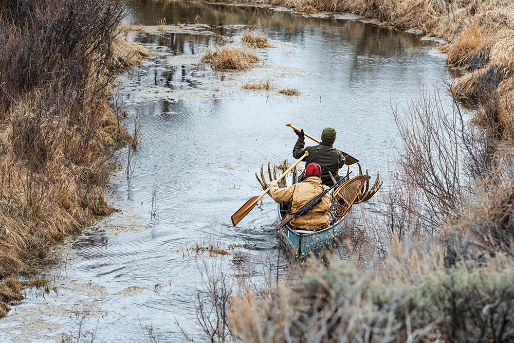Two hunters carrying moose through saskatchewan river