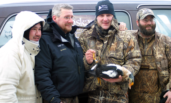 Alaskan Hunter Takes Extremely Rare Banded King Eider