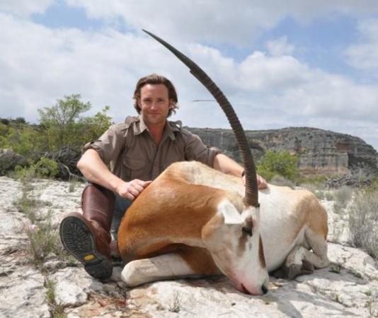 Hunting an ‘Extinct’ Species: How Texas Ranches Saved the Scimitar-Horned Oryx