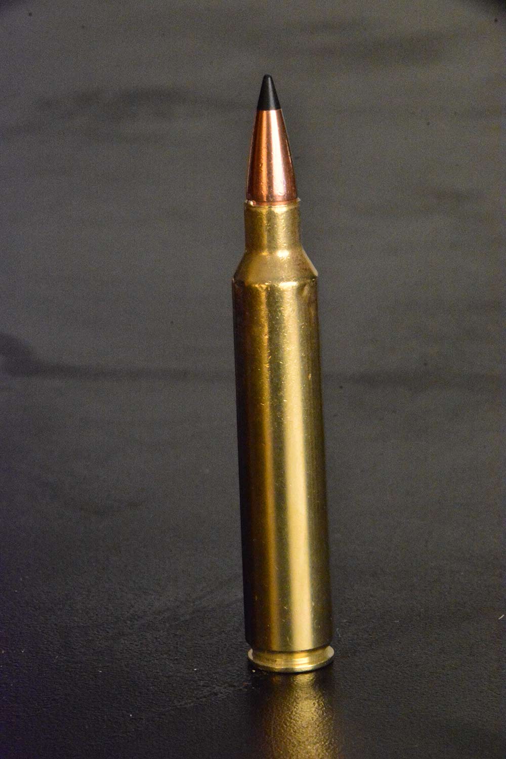 300 remington ultra magnum elk rifle ammo