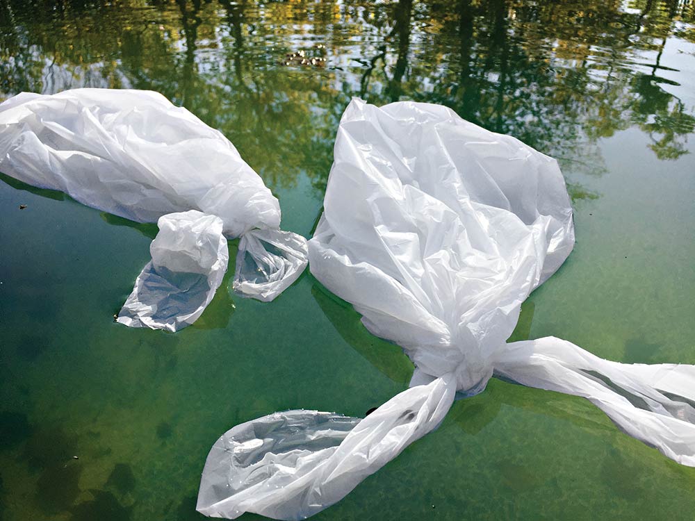 garbage bag swan decoys