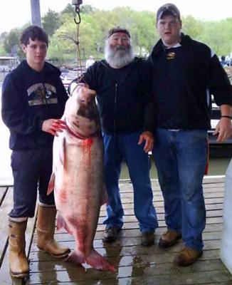 Missouri Angler Snags Record Bighead Carp