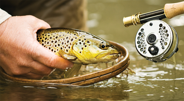 Fly Fishing: 3 Streamers for Small Streams