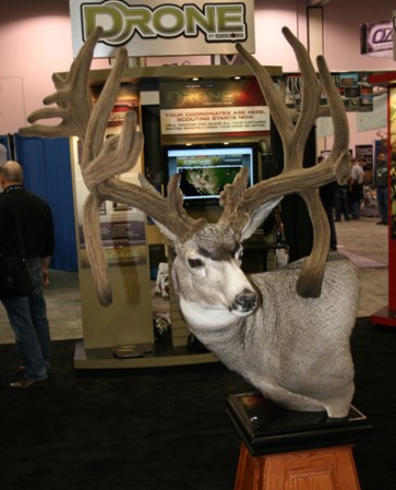 The Story Behind the New World Record Mule Deer