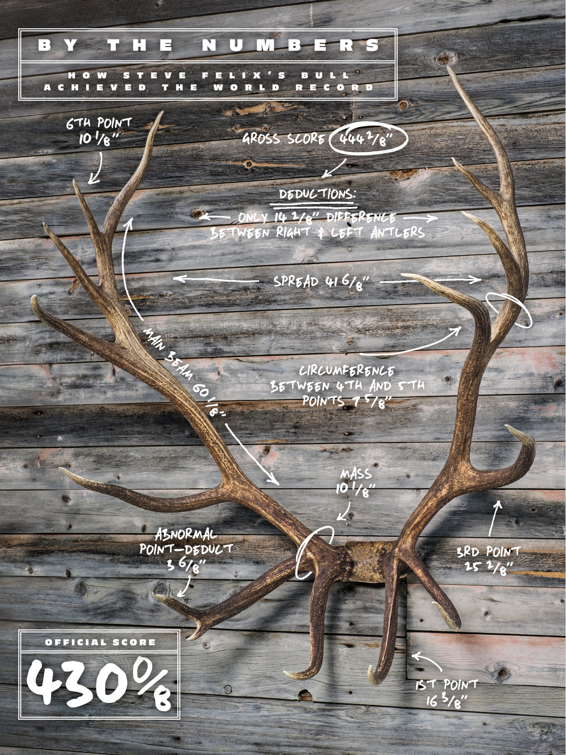 annotated antlers scoring the felix bull