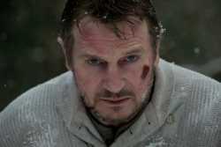 Liam Neeson Eats a Wolf For New Movie, The Grey