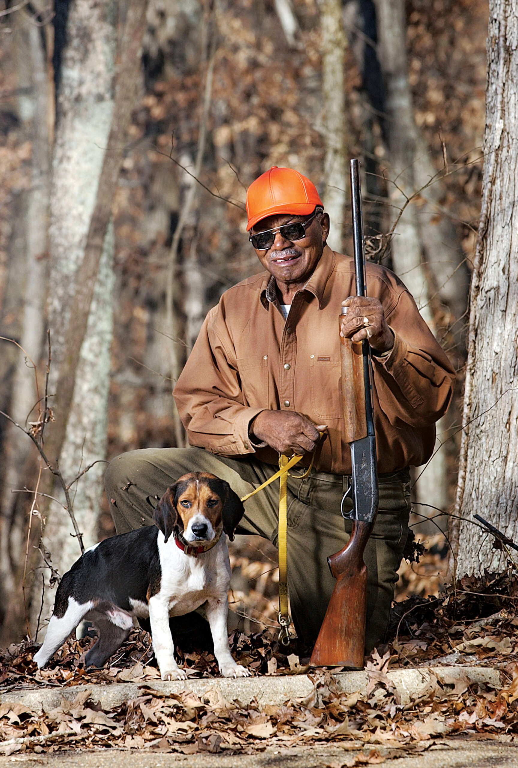 rabbit hunting dog