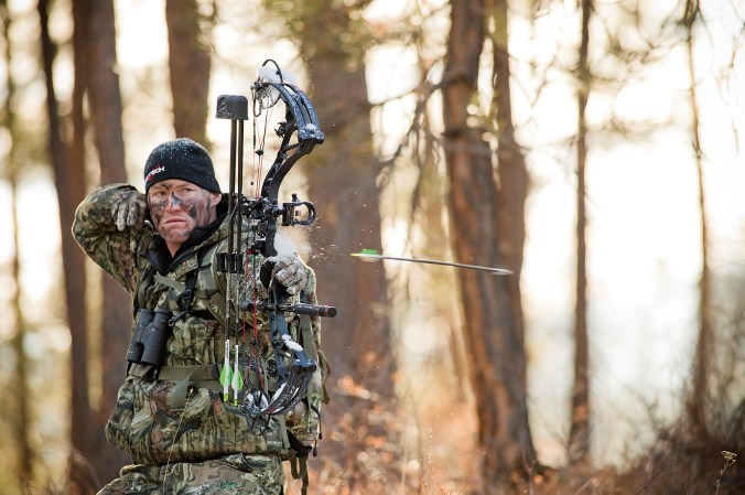 Arrow Momentum: The Real Killer in Bowhunting
