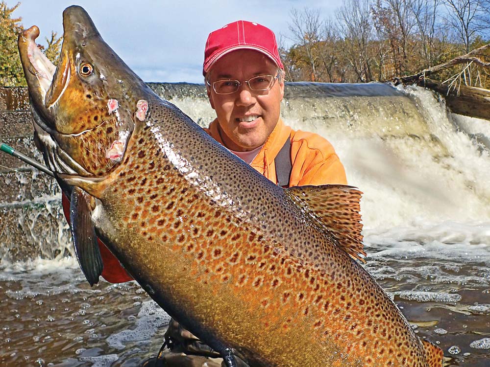 How to Catch Bruiser Brown Trout