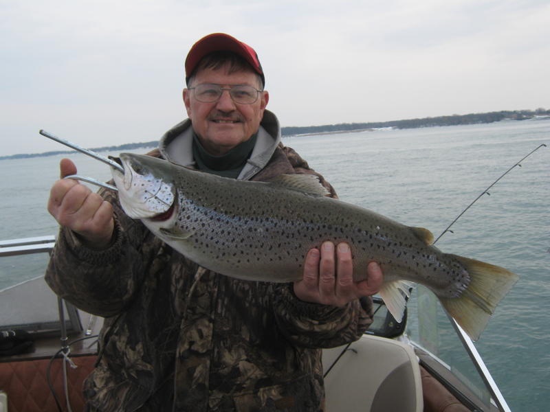 Spoon Tuning Trickery for Browns (Brown Trout) by Ernie Lantiegne – Great  Lakes Angler